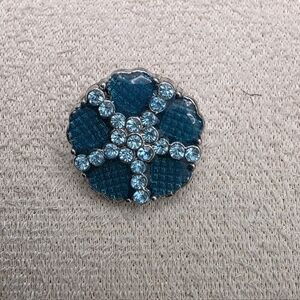 Elegant Silver and Blue Floral Button (1910)